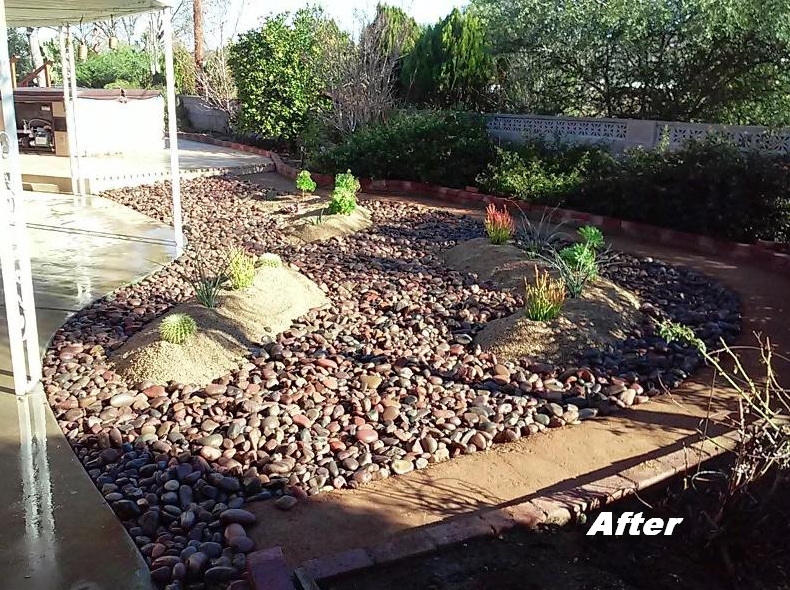 backyard garden after